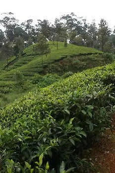 Wild Elephant Eco Friendly Resort Munnar 3*,  India