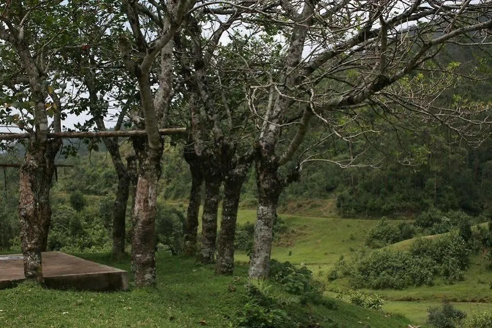 Wild Elephant Eco Friendly Resort Munnar Hotel
