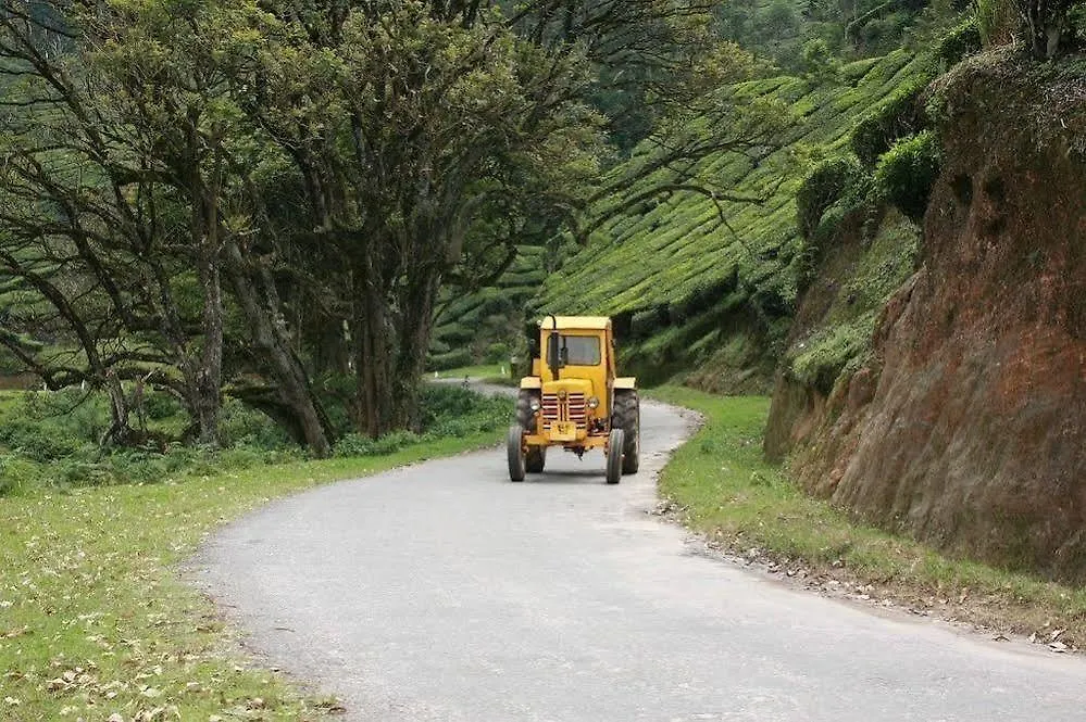 *** Hotel Wild Elephant Eco Friendly Resort Munnar India