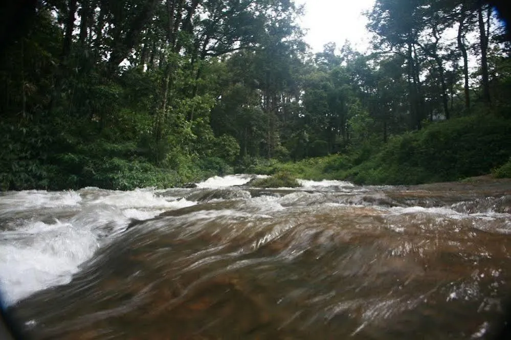 Wild Elephant Eco Friendly Resort Munnar