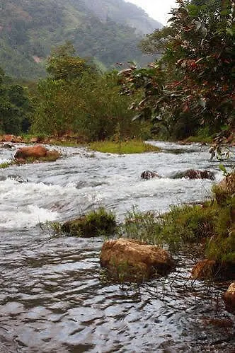 Wild Elephant Eco Friendly Resort Munnar India