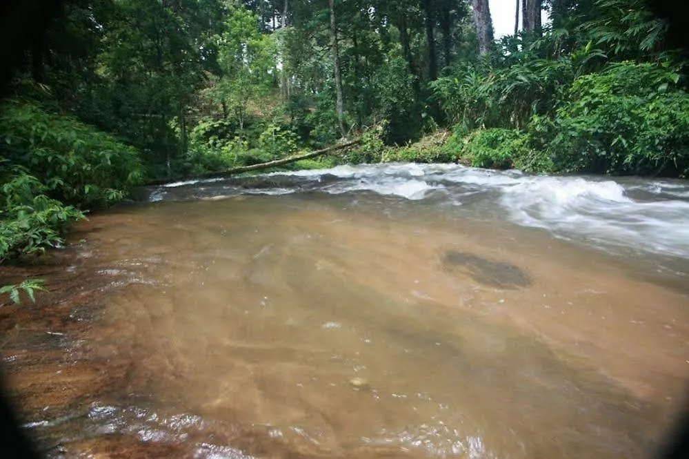 Wild Elephant Eco Friendly Resort Munnar 3*,