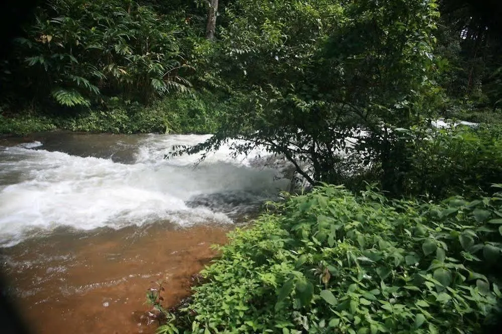 Hotel Wild Elephant Eco Friendly Resort Munnar